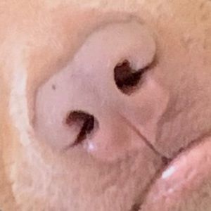 Meet your Posher, Zikia